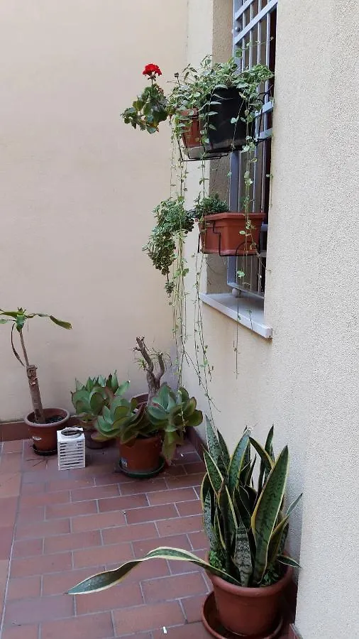Akantho Apartment Mantova Italia